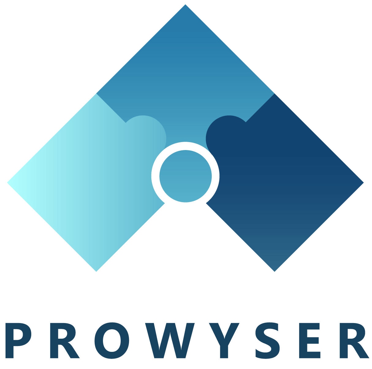 Prowyser Logo